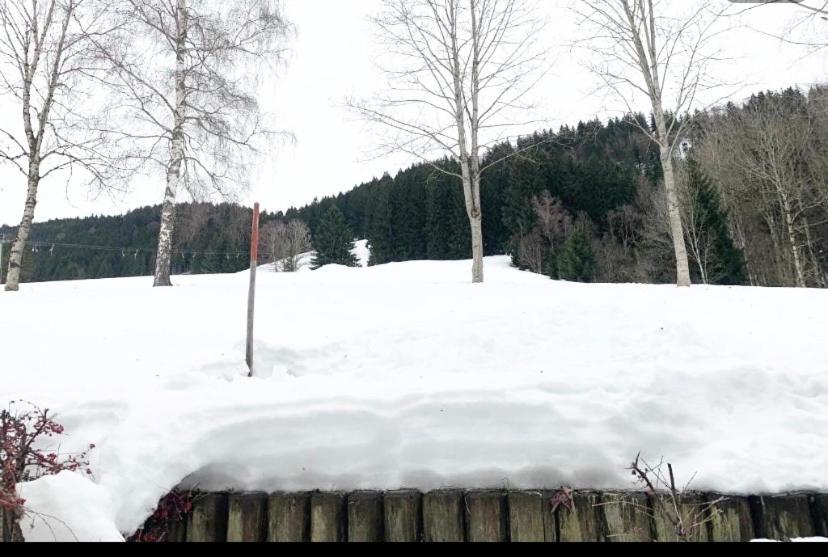 Fewo Alpenwiese Mit Hallenbad&Sauna ミッセン・ヴィルハムス エクステリア 写真