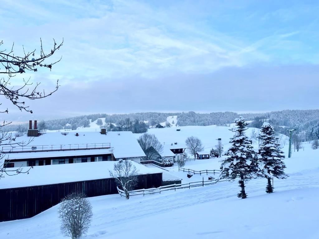 Fewo Alpenwiese Mit Hallenbad&Sauna ミッセン・ヴィルハムス エクステリア 写真