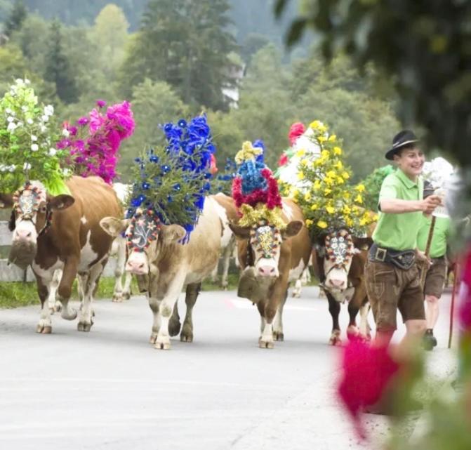 Fewo Alpenwiese Mit Hallenbad&Sauna ミッセン・ヴィルハムス エクステリア 写真