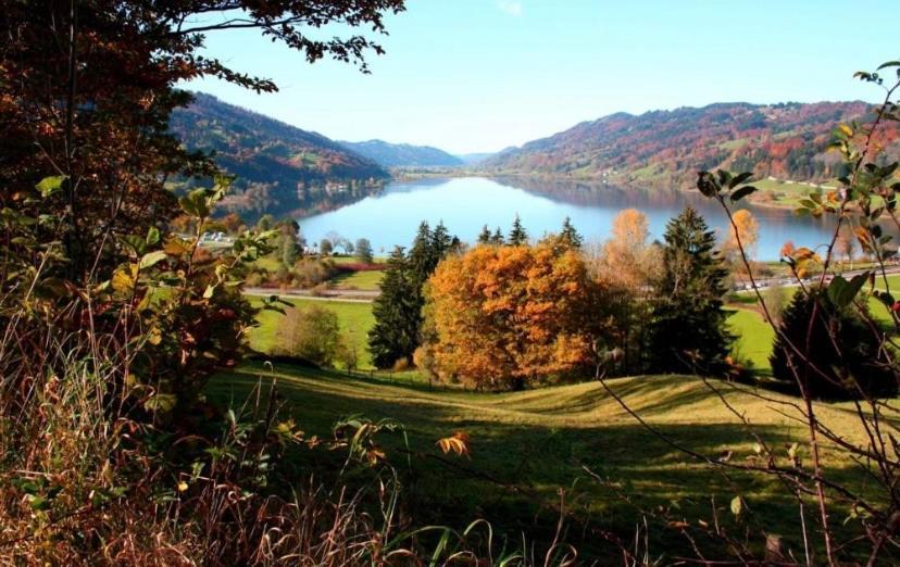 Fewo Alpenwiese Mit Hallenbad&Sauna ミッセン・ヴィルハムス エクステリア 写真